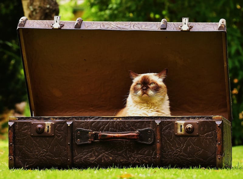 Packing a suitcase